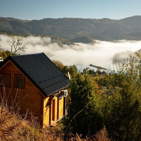 Vila Bella, Tara, Zaovinsko Jezero Villa Zaovine Luaran gambar