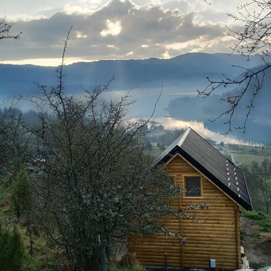 Vila Bella, Tara, Zaovinsko Jezero Villa Zaovine Luaran gambar