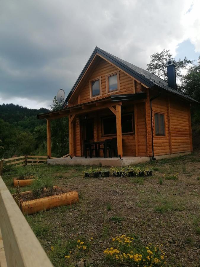 Vila Bella, Tara, Zaovinsko Jezero Villa Zaovine Luaran gambar