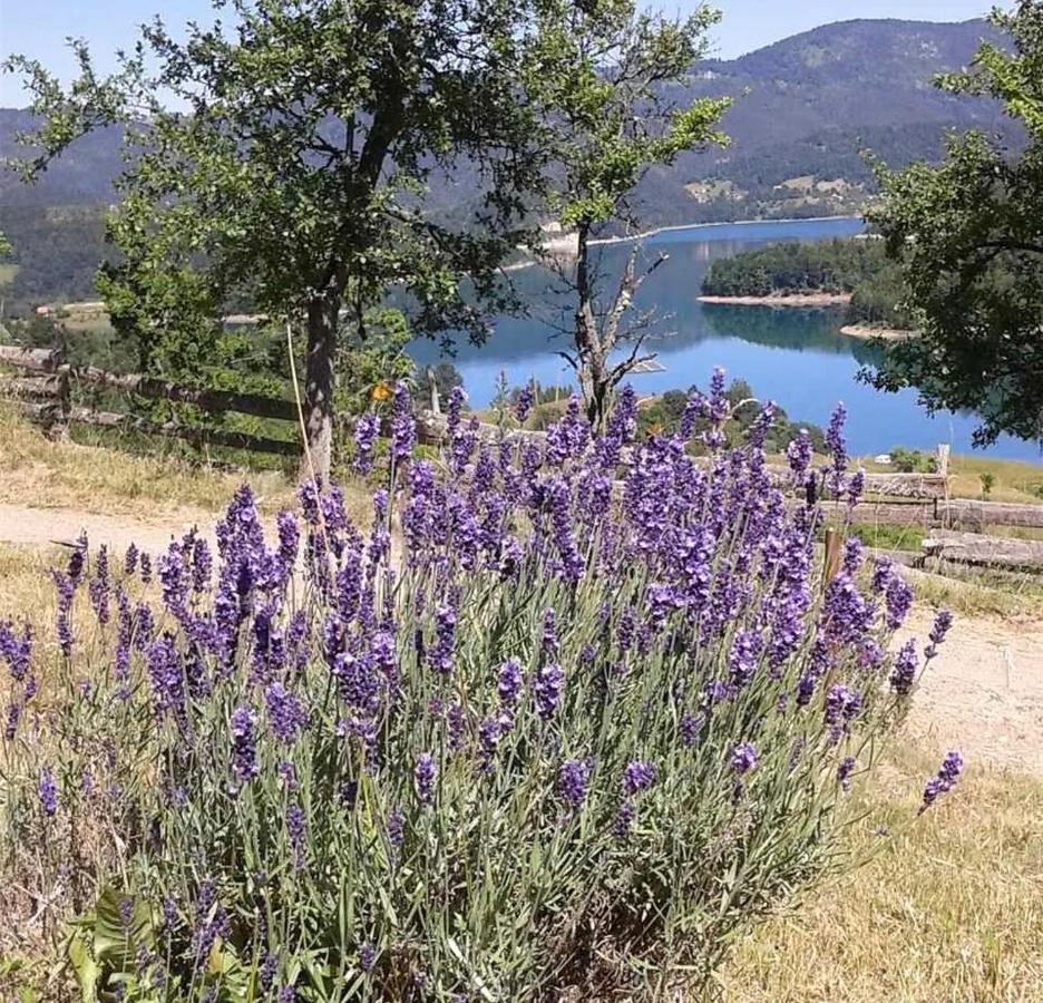 Vila Bella, Tara, Zaovinsko Jezero Villa Zaovine Luaran gambar