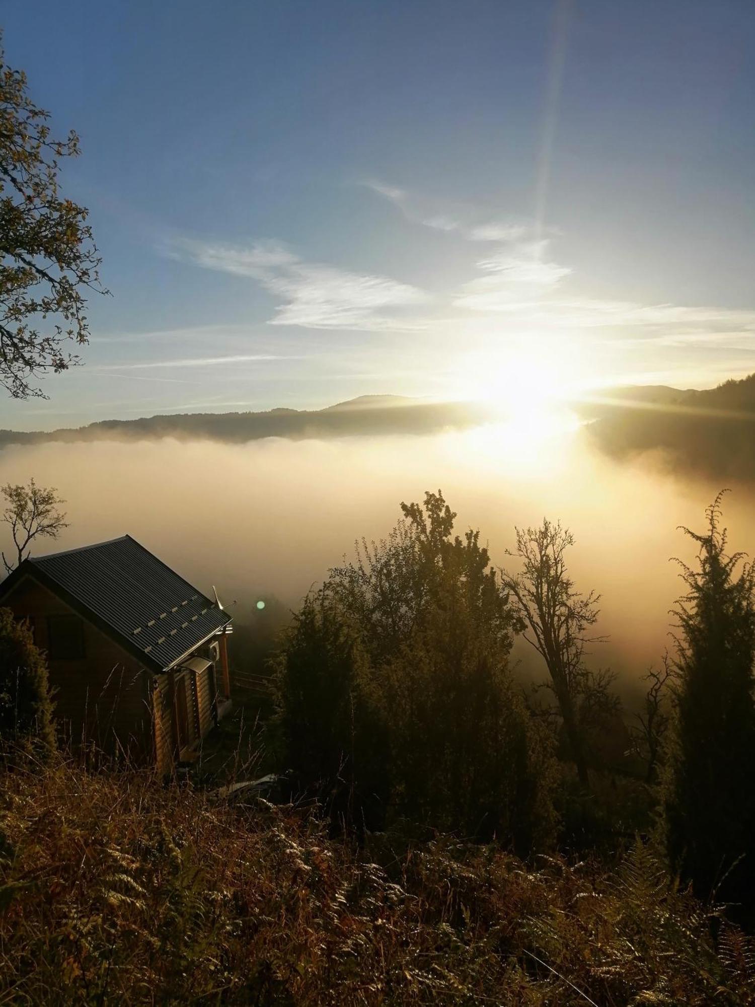 Vila Bella, Tara, Zaovinsko Jezero Villa Zaovine Luaran gambar